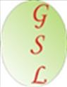 GeoSoft Solutions Logo